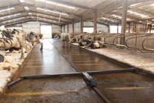 Dairymaster CleanSweep